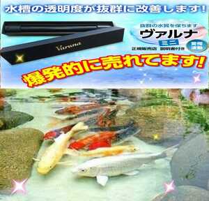 To improve the water quality of the aquarium! [Varnamini 23cm] Powerful substances are strongly suppressed! Prevents pathogens and infectious diseases and is outstanding transparency ☆ Just put it in the aquarium! No need to change water!