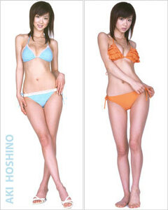 ◆ [Hoshino Super Body Large Poster DPX-277A] [TX-] Poster [New