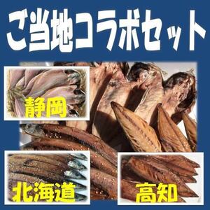 3 &lt;&lt; Free Shipping &gt;&gt; Local dried fish collaboration set 3 types 9 items Shizuoka prefecture specialty horse mackerel dried 3 tails + Hokkaido specialty sword fish soy sauce dried + Kochi prefecture famous flat mackerel soy sauce dried 3 tails