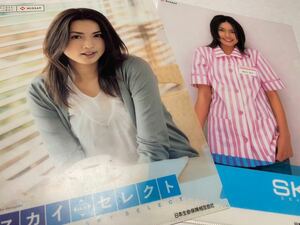 Used goods Kyoko Hasegawa Clear file 2 sets Nippon Life