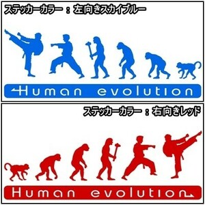 ★ Senen or more 0 ★ 15.0 × 5.3cm Evolution of humanity