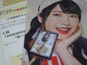 Lawson AKB48 Clear File Yui Yokoyama Ver. C Prize (No Ice Shield is not attached) Winning (one of 50 pieces limited)