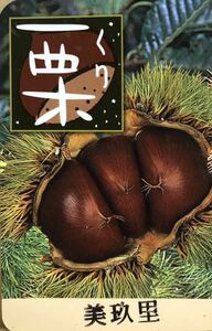 Mikuri Oguri Mikuri Wooden Seedling