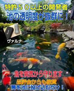 The transparency of the pond is outstanding. Protect Nishikigoi from illness! 500 tons purification just by putting it in the pond!