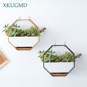 It's irresistible for succulent lovers! Pot Flower Bowl Succulent Plant Interior Indoor Outdoor Wall Stylish Planter Present Gift
