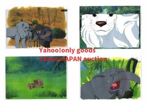 Jungle Great Cell Painting 4 Set 35 ♯ Original video Layout Illustration Setting Material Antique