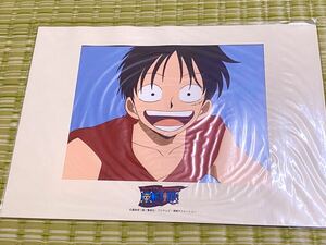 Difficult to obtain rare unopened ★ One Piece ONE PIECE ★ Luffy ★ Original drawing cell painting ★ B