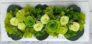 ★ Price cut! Preserved flower frame arrangement rectangular green cellopan wrapping Birthday Mother's Day wedding celebration Newly built gift ★