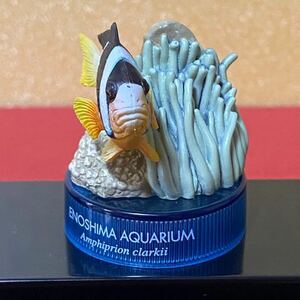 Kaiyodo Enoshima Aquarium Kunami