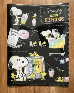 Snoopy 10 Pocket File ★ Folder/Clear File ★ SNOOPY/Peanut ★ Shipping ¥ 250