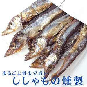 38g of smoked shishamo (Shishamo's Kunsei delicacies with a tight taste) Yanagiha fish that is delicious to the whole bone [Mail service]