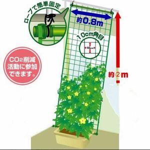 Green curtain 2m hanging type 80cm Width Pipe Gardening Net Point digestion