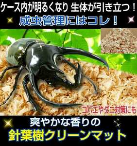 Only for adult breeding! [Conference mat] Refreshing scent! The living body looks cool because it is beautiful and bright! Antibacterial and deodorant effects that do not bring on fly and ticks!