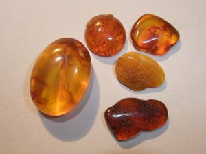 This amber loose ☆ Valtic amber translation junk goods reuse removal stone 15.75ct Eastern Europe Kohaklus ☆ 7 Gold luck luck Power Stone can be bundled together