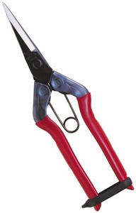 Near bud-cut scissors T-550 (bud cut scissors bud cut scissors)