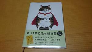A mysterious cat world 2022 Notebook Busa Cute Cat New