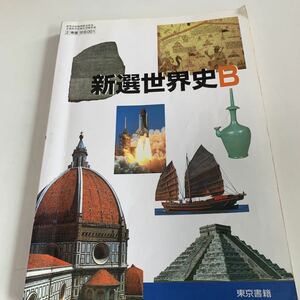 Y03.365 New World History B Tokyo Book Textbook Asian European American Social Study High School University Japanese History Chemistry Contemporary World History Ministry of Education Notebook