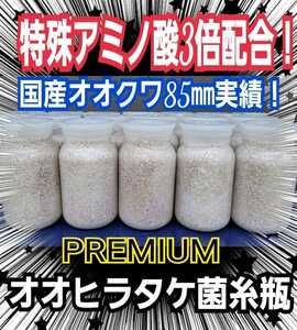 The finest ☆ Ohiratake mycelium [6 bottles] Trehalose, royal jelly, arginine reinforced! Kunugi raw iga 100 % raw material! Domestic Okuwa 85㎜ Feather track record