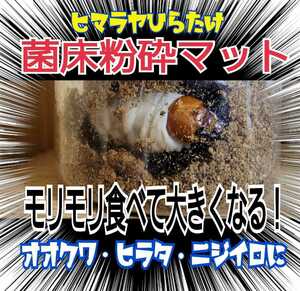 The stag beetle larva becomes bigger! Bacterial floor mat ☆ Just pack in a bottle! OK Wagata, Hirata, Nijiiro, Saws, etc. in general ☆ From the initial to 3 orders OK