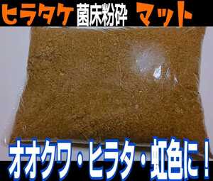 The stag beetle larva becomes bigger!Bacterial floor mat ☆ Just pack in a bottle!Ookuwagata, Hirata, Nijiiro, saws, etc. in general!OK from the first order to 3