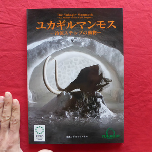 i8 Catalogue [Yukagir Mammoth - Animals of the Cool Steppes / 2005] Mammoth Museum / Ai Earth Expo