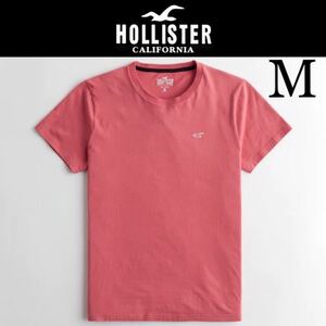 With new tag ☆ HOLLISTER icon embroidery T -shirt M Mast Hub Crew Neck Short Sleeve T -shirt Coral Holistar