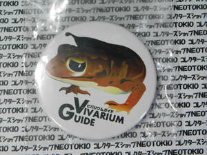 Regular subscriptions not for sale Vivarium Guide Gecko Can Badge Y