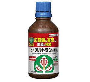 Pharmaceutical insect pesticide / sterilized Sumitomo Chemical GF Ortran liquid 300ml