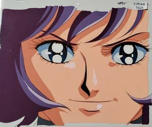 New Cutie Honey Armalloid Honey Celie Painting and Video Set