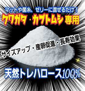 The nutritional source of stag beetle beetle is this! Just mix with natural trehalose powder ☆ mats, hyphagus, jelly! Size up, increase the number of spawns, longevity effect!