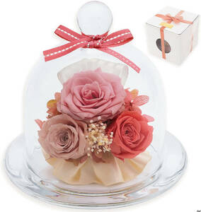 Glass Dome Arrangement Pink Rose Preservation Flower Anty Close Flower Gift Mother's Day Gift Gift Fashionable
