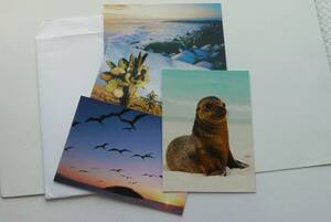 ■ Darwin/ postcard 4 sets ■ age/ pps