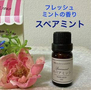★ Spearmint ★ High Quality Therapy Grade Essential Oil 100% Essential Oil ★★