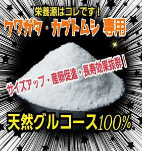 The nutritional source of stag beetle beetle is this! Just mix with glucose powder ☆ mats, hyphagus and jelly! Size up, increase the number of spawns, excellent longevity effect!