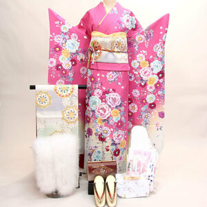 Kimono Kimono Full Set Pure Silk Hyakka Ryoran Rental of 20 points, 7 days Rental Co., Ltd. (Rental] R91