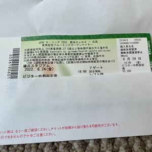 Yokohama Stadium Yokohama DeNA vs. Hiroshima Carp 6/24 outfield reserved seat