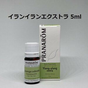 Ilan -Ylang Extra 5ml Pranarom PRANAROM Aroma essential oil