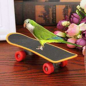 "BY5-A2" Mini skateboard for birds Aum-co-pet supplies stress relief toy Instagram finger skeleton
