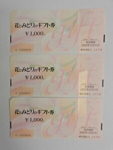 155Z997 ★ [Unused] Flower and green gift voucher 1000 yen x 3 pieces set [expiration date: December 31, 2022]