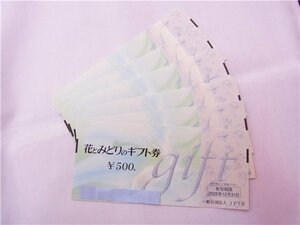 ◎ Flowers and green ◎ Flowers and green gift vouchers Flower gift vouchers 500 yen x 6 pieces 3000 yen ◎ Unused