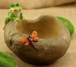 Flower pot frog tonbo play around large stones