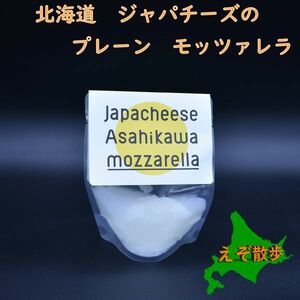 Japachese Hokkaido Asahikawa Plain Mozzarella 100g 2 pieces Hokkai Dou Cheese Hokkaido Milk