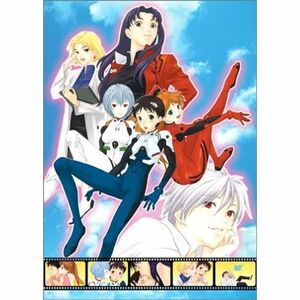 Drama Chick Fostering Game Neon Genesis Evangelion Ikari Shinji Training Plan DVD-ROM version