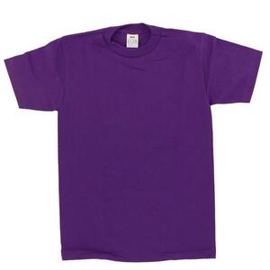 ☆ Purple ☆ Size S T -shirt Men's Short Sleeve Mail Order American Kaji Stylish Tosha Tiss Brand Pro Condition White Short Sleeve Shade