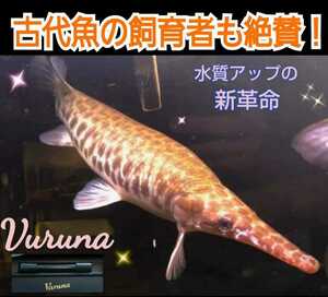 The breeder of the ancient fish is also acclaimed! Magical tubes that do not need water change [Varnamini 23cm] Outstanding transparency! Powerful substances, pathogens are also strongly suppressed ☆ Developers with a patent of 400 or more!
