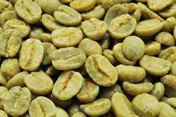 [10㎏] Coffee Beans Tanzania KIBO AA Premium Free Shipping