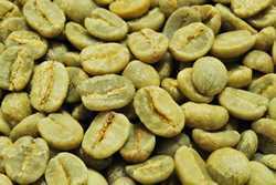 【1kg】Coffee Green Beans Tanzania KIBO AA Premium Free Shipping