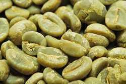 【1kg】Coffee Green Beans Tanzania Adela Premium Free Shipping
