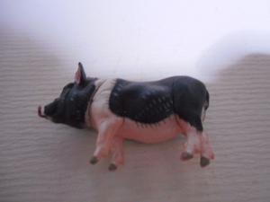 Choco Q Pet Animal ☆ 5th ☆ Mini Pig (Black White) ☆ 142 ☆ Only the body