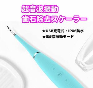 ★ Electric ultrasonic tartar removal scaler tartar tartar removal screpered cleaner USB Charger bad breath prevention periodontal disease prevention water prevention 5 -step adjustment LED light
